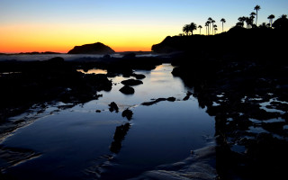 Sunset water rocks palm trees - rock free wallpaper