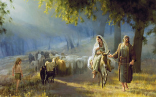 Man leading woman horse herd - de hirsh margule free wallpaper