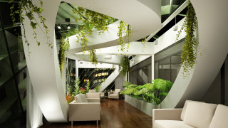 Living room plants overgrown couch - plant free wallpaper for desktop