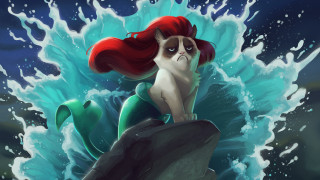 Cat rock ocean wave grumpy - art free wallpaper for desktop