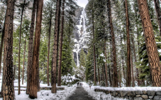 Forest path waterfall winter nature - a path free wallpaper