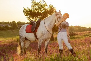 Woman horse field flower sunset - the horse free wallpaper