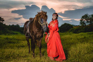 Woman red dress horse field - a cloudy sky in the background free wallpaper