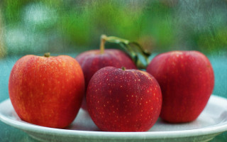 Three apples on plate outside - outside free wallpaper