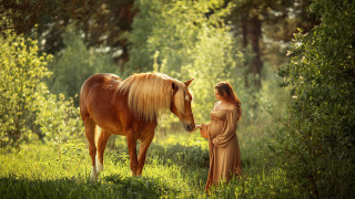 Woman horse forest autumn cinematic - a long dress free wallpaper
