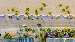 Beach palm trees beach house - chris labrooy free wallpaper