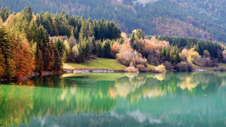 Lake trees mountains clouds birds - a few bird free wallpaper