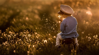 Boy blowing dandelions christmas night - artur tarnowski free wallpaper