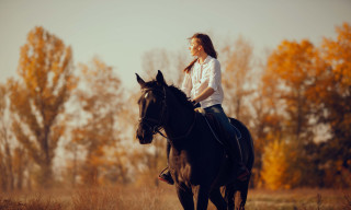 Woman horse field autumn fire - a horse free wallpaper