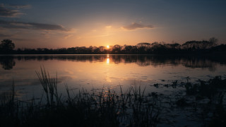 Sunset lake clouds trees grass - the water and grass free wallpaper
