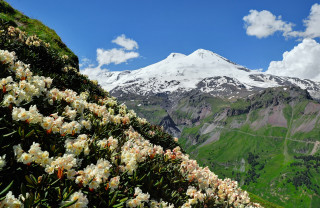 Mountain flower field road sky - peak in the distance free wallpaper