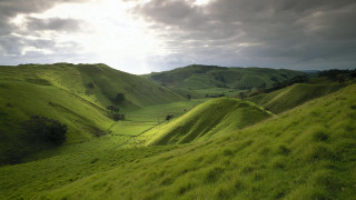 Grassy valley trees cloudy sky - free landscape wallpaper