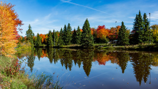 Lake trees blue sky autumn - a lake free wallpaper
