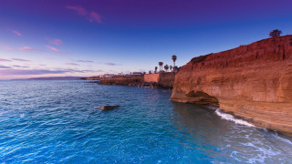 Beach cliff palm trees boat - the cliff free wallpaper