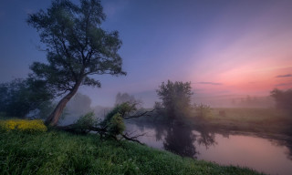 Magic realism tree hill river - river free wallpaper