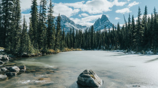 Mountain lake trees rocks snow 2 - a mountain lake free wallpaper