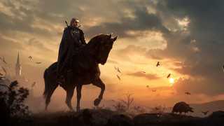 Horse rider field birds sunset - cedric peyravernay free wallpaper