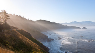 Ocean mountains morning fog trees - beautiful landscape free wallpaper