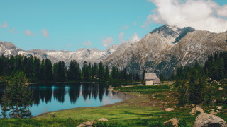 Mountain lake pine trees house - a mountain range in the background free wallpaper