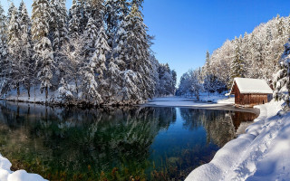 Small cabin lake snow forest - bela čikoš sesija free wallpaper