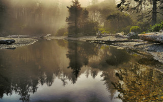 Lake forest mountains mist shore - the shore free wallpaper
