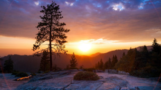 Sunset mountain lone tree rocks 2 - free winter wallpaper