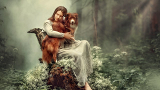 Woman dog forest fog photorealistic - artur tarnowski free wallpaper