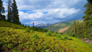 Rainbow over grassy hill with - beautiful landscape free wallpaper