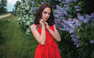 Woman red dress lilacs portrait - her chin free wallpaper