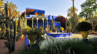 Blue house fountain cactus trees - egyptian art free wallpaper