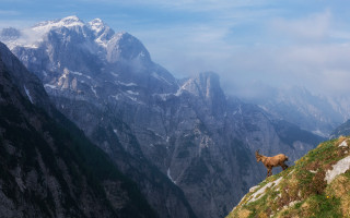 Goat mountain range clouds sky - a mountain side free wallpaper