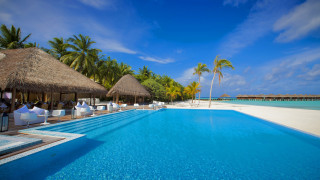 Luxury beach pool palm trees - roof free wallpaper