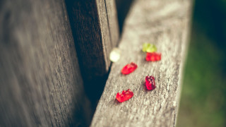 Wooden bench gummy bears green - a white light free wallpaper