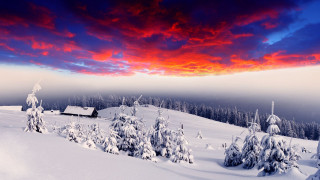 Snowy landscape cabin trees colorful - cloud and snow free wallpaper