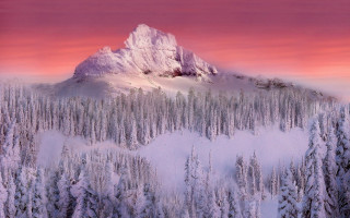 Snowy mountain pink sky trees - a matte painting free wallpaper