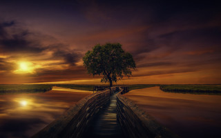 Tree dock sunset reflection water - free 3d render wallpaper