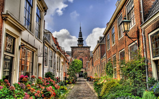 Narrow street clock tower flowers - a narrow street free wallpaper