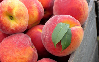 Peach leaf woodencrate summer vibrant - free nature wallpaper