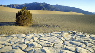 Lone tree desert mountains rock - ansel adams free wallpaper
