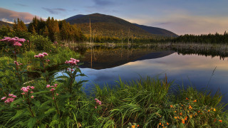 Lake forest mountain flowers sunset 2 - the foreground free wallpaper