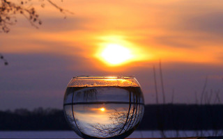 Fish bowl sunset tree lake - glass free wallpaper
