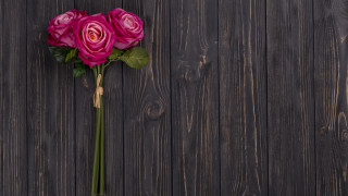 Pink rose wooden surface green - a pink rose free wallpaper