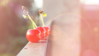 Cherries bench sunlight blurry background - charles martin free wallpaper