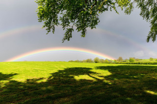 Rainbow green field trees dark - over a green field free wallpaper