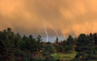 Large cloud lightning forest thunderstorm - a large cloud free wallpaper