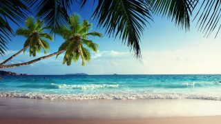 Beach palm tree boat blue - a matte painting free wallpaper