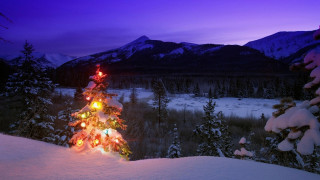 Christmas tree lit snow mountains - a christmas tree free wallpaper