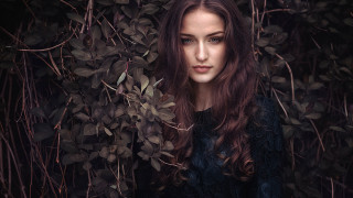Woman longhair bush leaves portrait - leaf free wallpaper