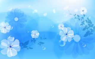 Blue background white flowers leaves 2 - white flower and leaves free wallpaper