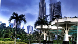 City palm trees park skyline - a park free wallpaper
